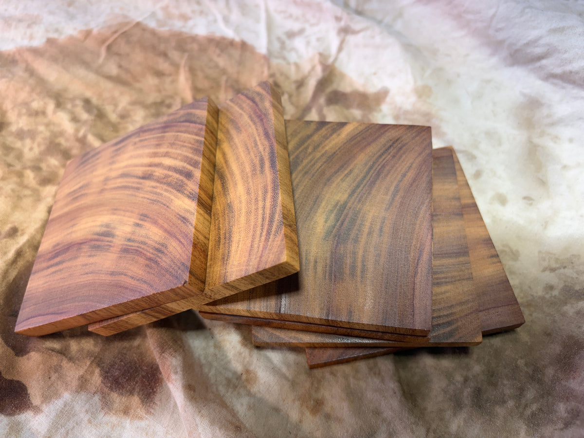 Timber coasters- eco friendly