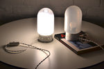 Load image into Gallery viewer, Pair of Mid century Italian Murano glass dome lamps by Carlo Nason, Venice

