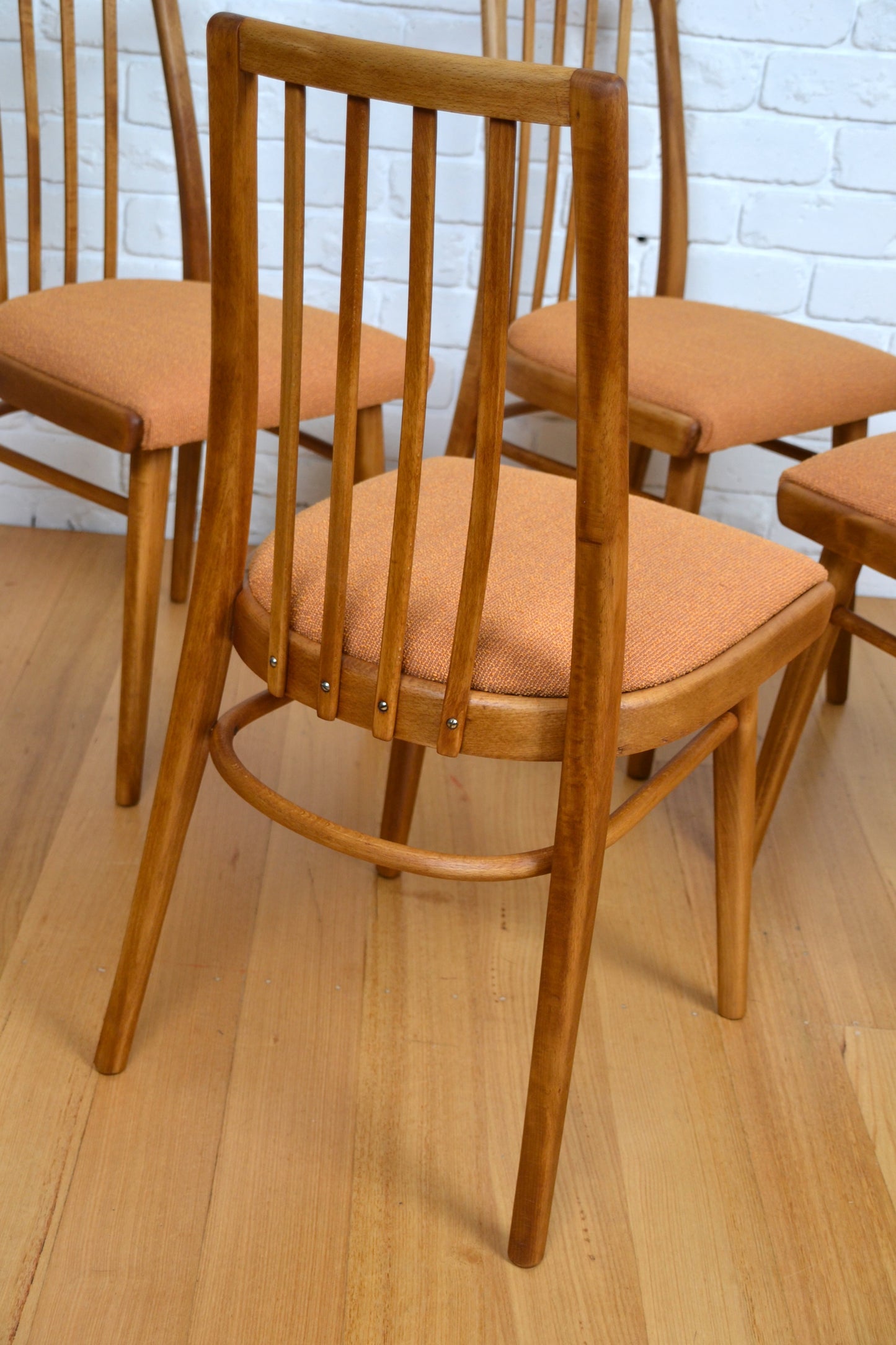 Mid century bentwood Ligna Czech Beech dining chairs restored pure wool