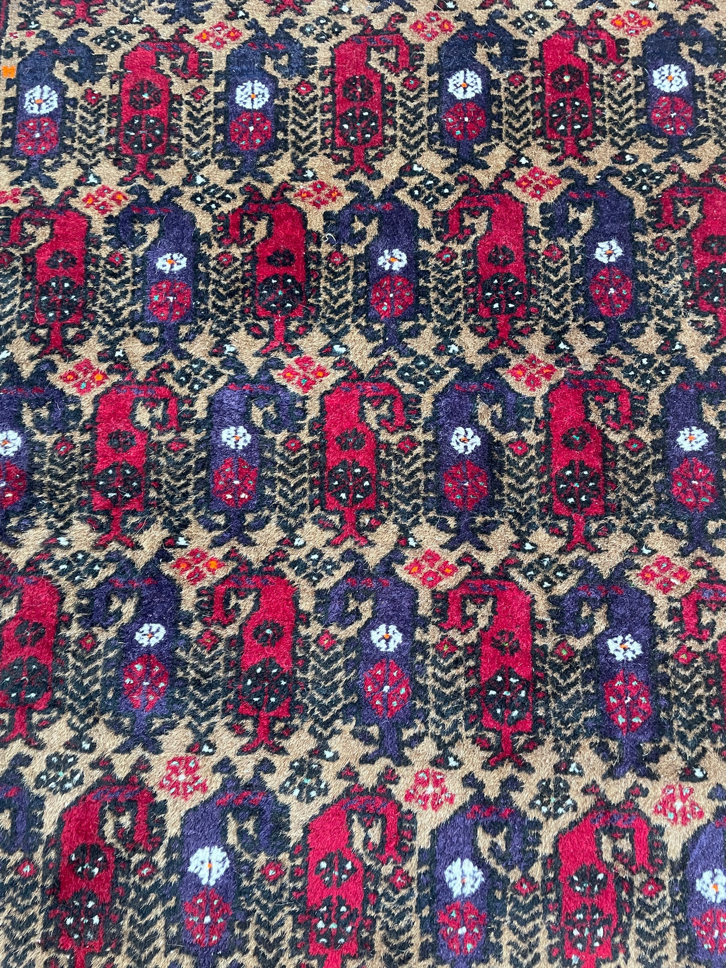 Afghan Baluchi vintage pure wool prayer rug pattern carpet / rug 2m